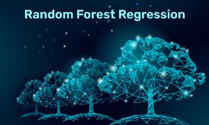 همه چیز در رابطه با الگوریتم random forest و کاربرد آن