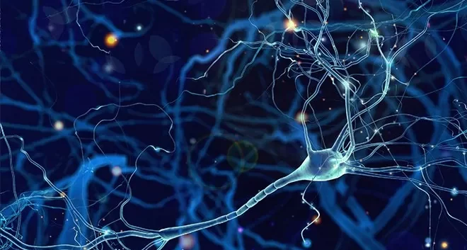 شبکه‌های عصبی عمیق (DNNs) چیست و چه کاربردهایی دارد؟