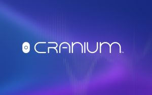 Cranium راه حلی برای ایمن سازی سازمان‌ها و شرکت‌ها