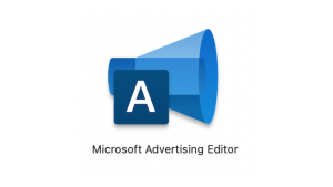 پیشنهادات تبلیغات ویدیویی مایکروسافت با Microsoft Ads