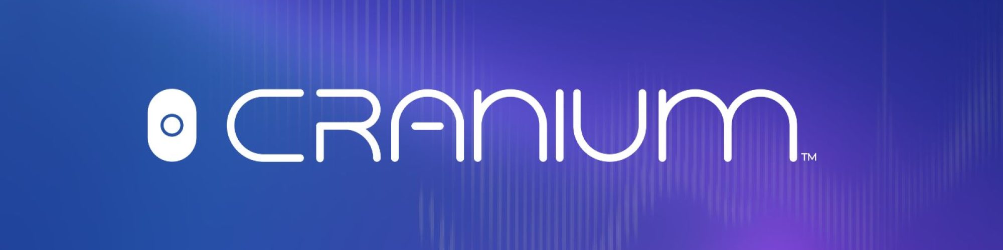 Cranium راه حلی برای ایمن سازی سازمان‌ها و شرکت‌ها